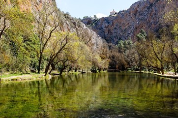 Lake in the spring park.