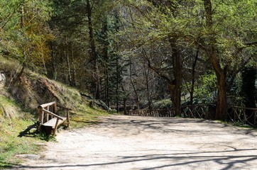 Lake in the spring park.