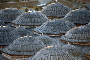 View of the historical domes over the rooftops