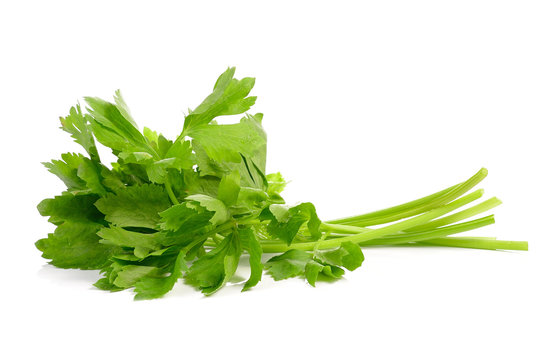 Celery on White Background