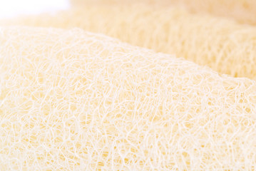 Loofah - natural fiber for body scrubbing