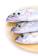 Fresh mackerel fish on the white background