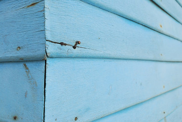 Wood plank blue brown and green texture background vintage