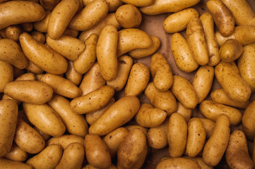 full frame background with lots of new potatoes