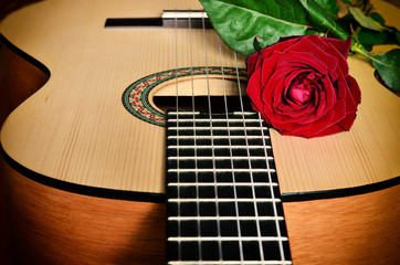 Guitar and rose