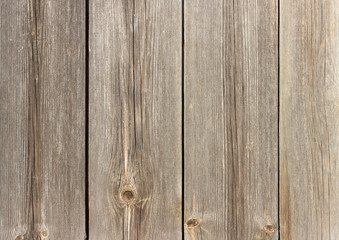 Naklejka premium The old wood texture with natural patterns
