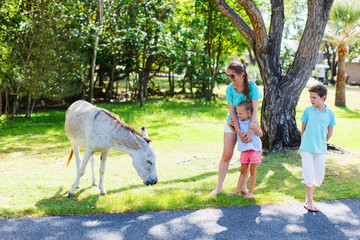 Fototapeta premium Mother and kids outdoors looking at donkeys