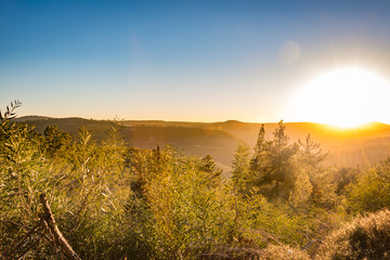 sunset in the forest in the mountain 