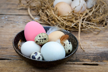 Naklejka na ściany i meble Different types of eggs in bowl on wood background