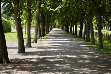 Allee