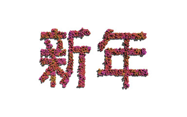 New year chinese text flower with white background