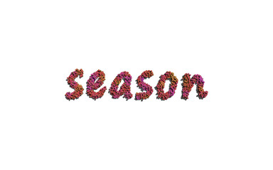 season text flower with white background