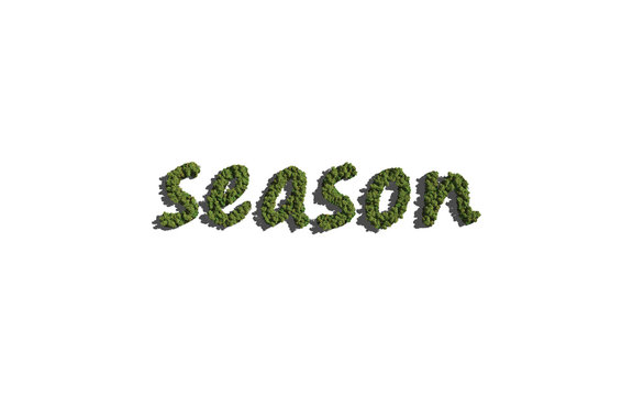 season text tree with white background