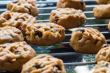 Selective focus with shallow depth of field on home made cookies