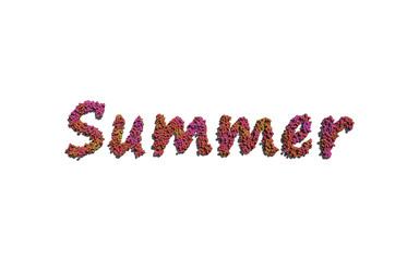 summer text flower with white background