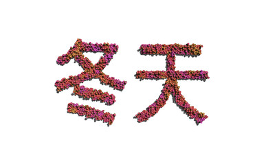 winter chinese text flower with white background