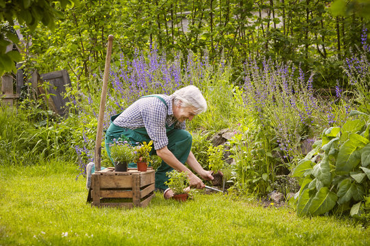 Mann Garten eingraben
