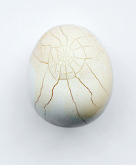 Сhicken egg.