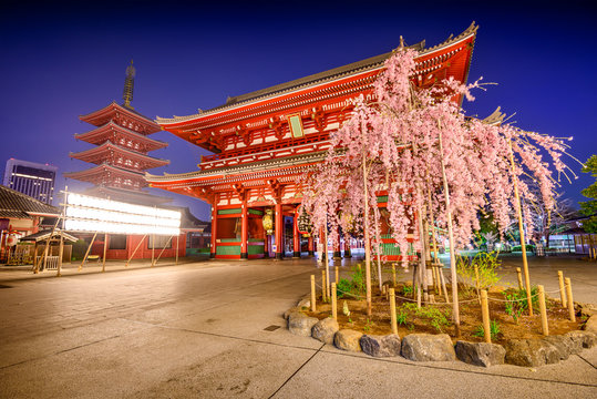 Sensoji Temple In Tokyo