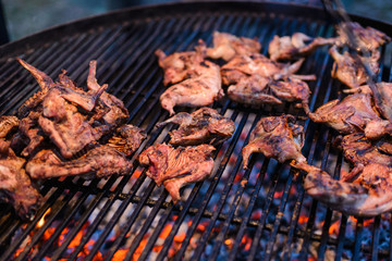 Roasted quail on grille/Roasted partridge meat over an open fire