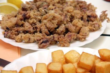 Fried baby squids on plate