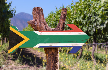 South Africa Flag wooden sign with vineyard background
