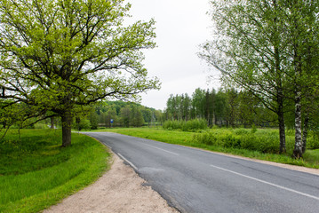 Fototapeta na wymiar empty road in the countryside