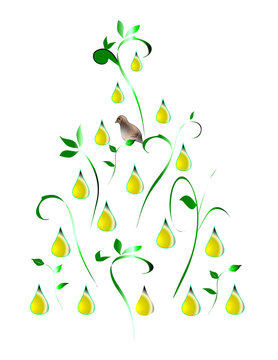 Stylized illustration of a partridge in a pear tree