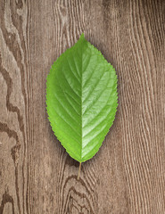 Green leaf and  wooden board.