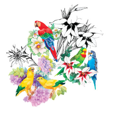 Watercolor parrots on a floral background. Seamless pattern.