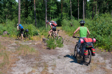 Naklejka premium Group of tourists mountain bike ride on forest trail.