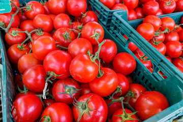 raw tomatoes group from marketplace