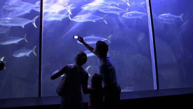 Happy family looking at fish and taking pictures