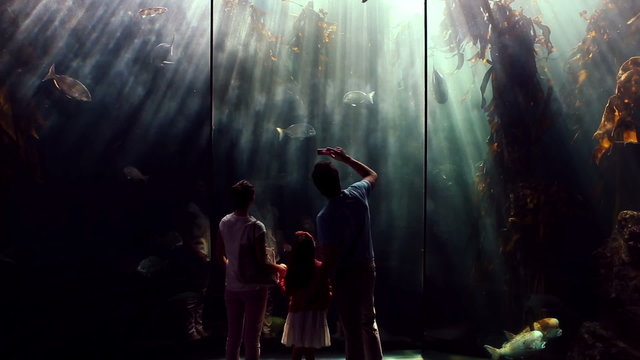 Happy family looking at fish and taking pictures