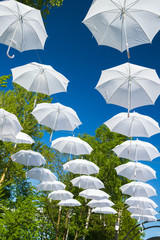 Obraz premium White umbrellas canes in the sky