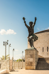 Fototapeta na wymiar liberty statue of Budapest