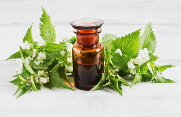 nettle essence oil