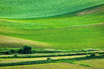 Abstract pattern of rolling fields