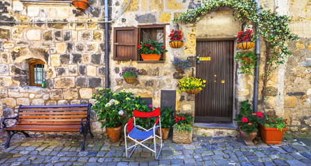 Fototapeta na wymiar authentic charming streets of medieval villages of Italy,Bolsena