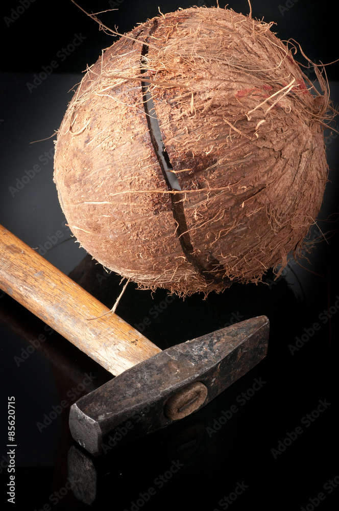 Wall mural coconut broken in half with hammer