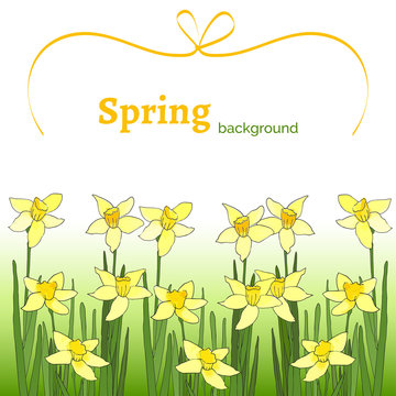 Template with spring flowers with watercolor texture. Spring background with yellow narcissus. Spring sale. Poster with spring flowers. Vector floral illustration. Spring season.