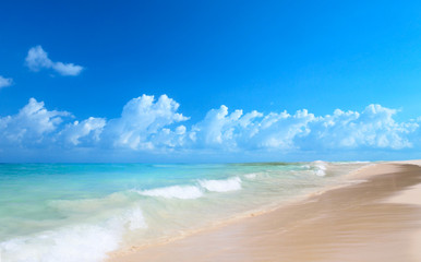 art beautiful beach and tropical sea