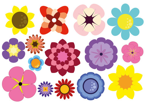 Vetores de Flores variadas