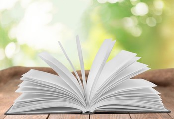 Book, magic, magical.