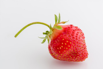 Hand Picked Fresh Strawberry