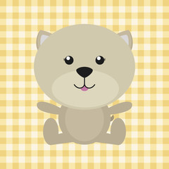 Cute Dog