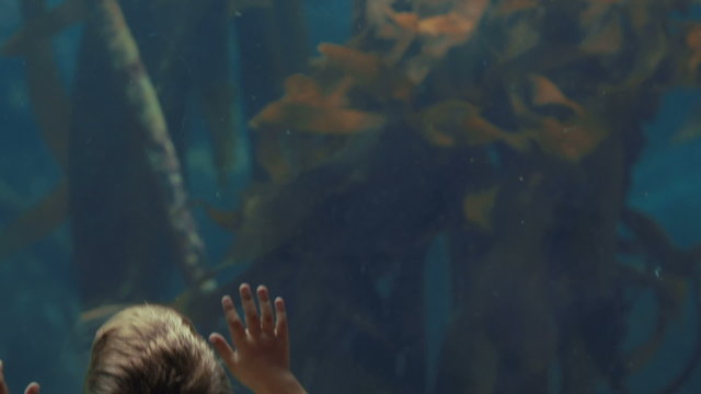 Young man touching a fish-tank 