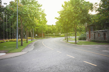 Empty curved road with natural trees.