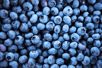 Reife und saftige Heidelbeeren