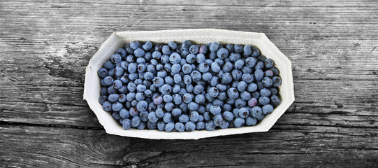 Reife und saftige Heidelbeeren